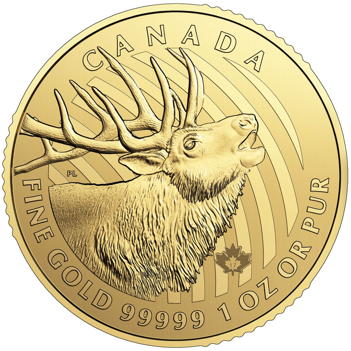 1 Ounce Gold Canadian Elk