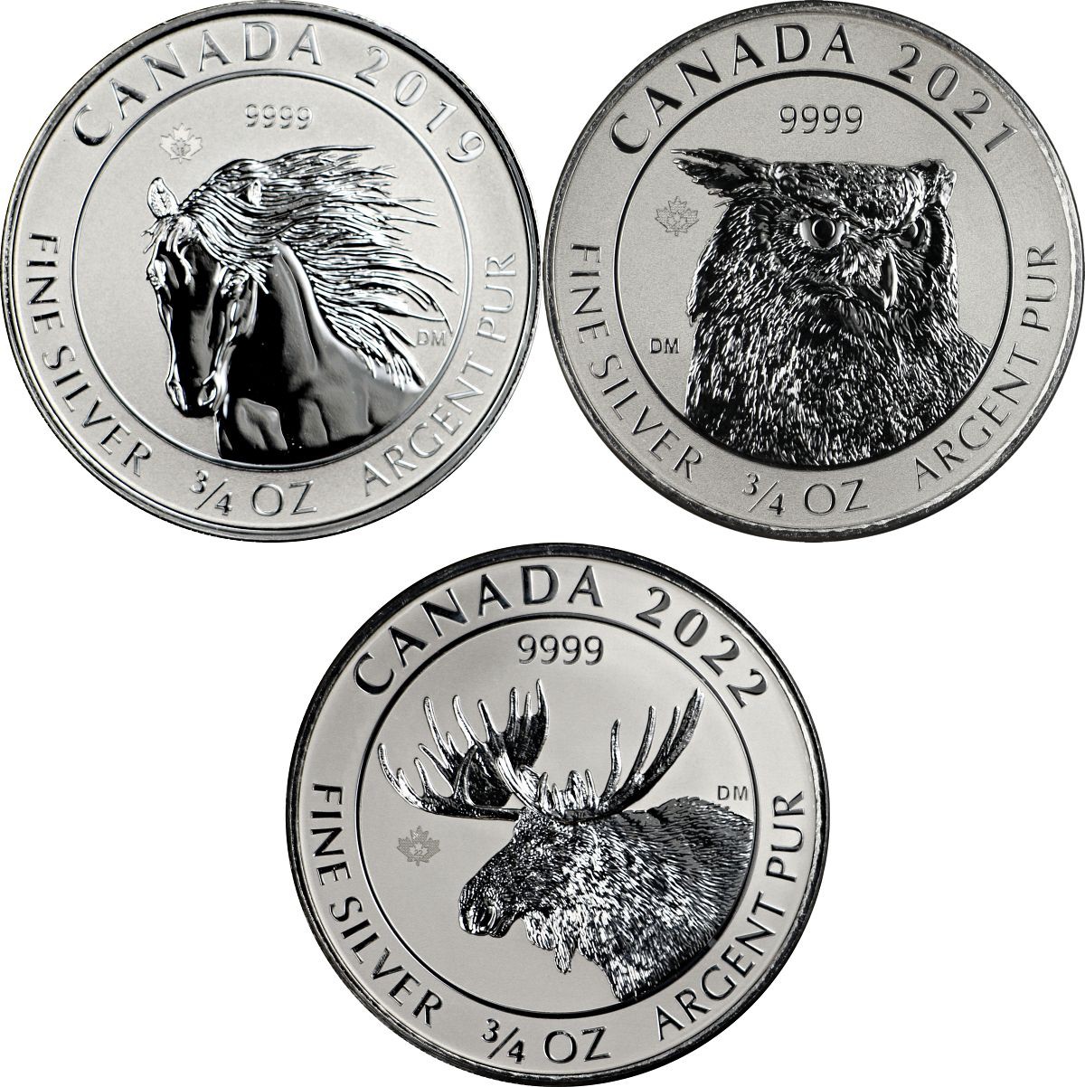 3/4 Ounce Silver Canadian Maple Leaf Wildlife Series (Random Date)