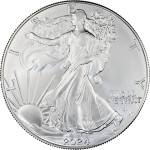 1 Ounce Silver American Eagle 2024 Star Privy Mark