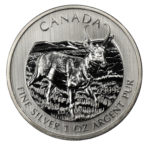 1 Ounce Silver Canadian Antelope Wildlife Series 2013