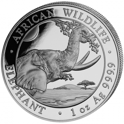 Somalia 1 Ounce Silver Elephant 2023