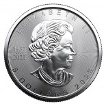 1 Ounce Silver Canadian Maple Leaf 2023