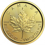 1/10 Ounce Gold Canadian Maple Leaf (Random Year)